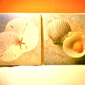 Talk About Beach Fever ~ Set of 2 - Framed PICS